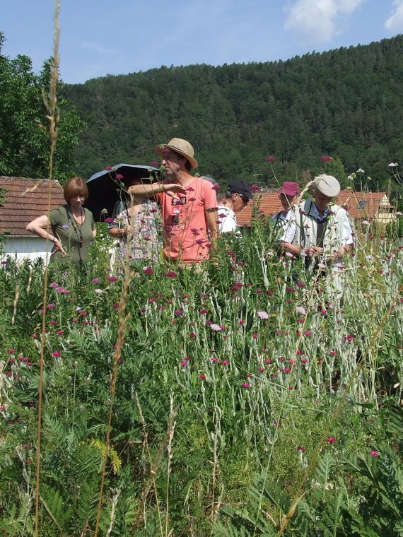 SCHN - Activités - Voyages - Sorties à la journée dans le Grand Est