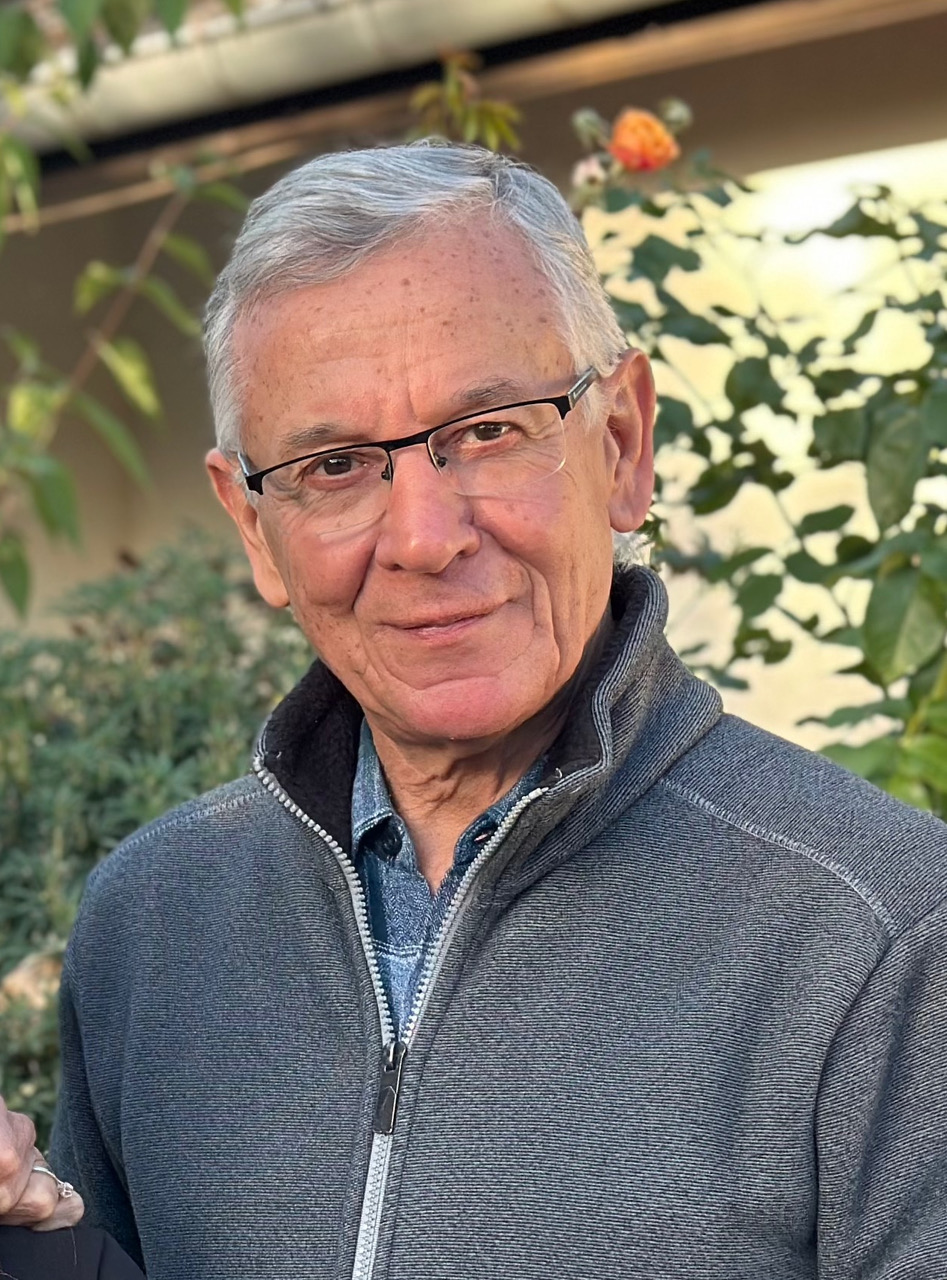 Conférence l&rsquo;arbre monde