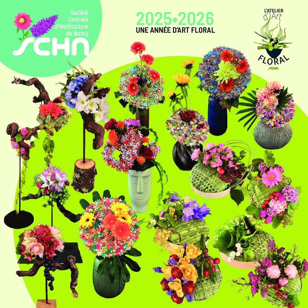 Panorama des ateliers d&rsquo;art floral 2025-2026