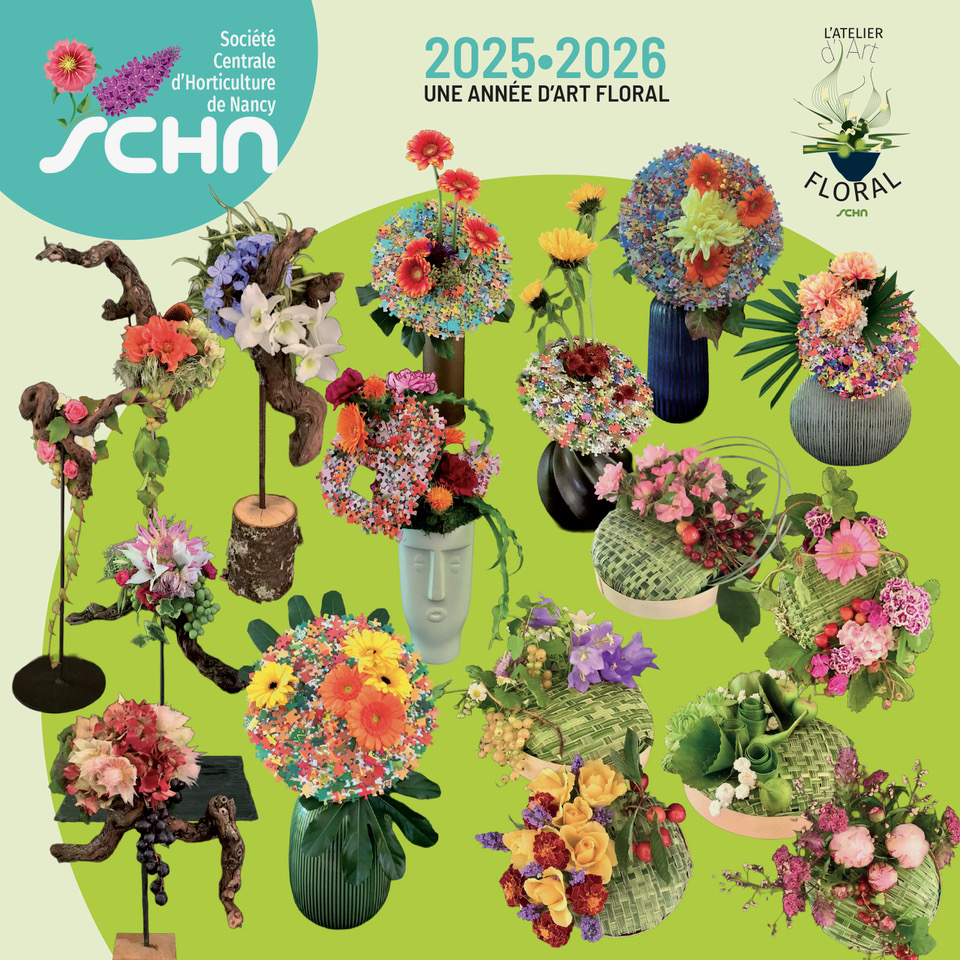 Panorama des ateliers d&rsquo;art floral 2025-2026