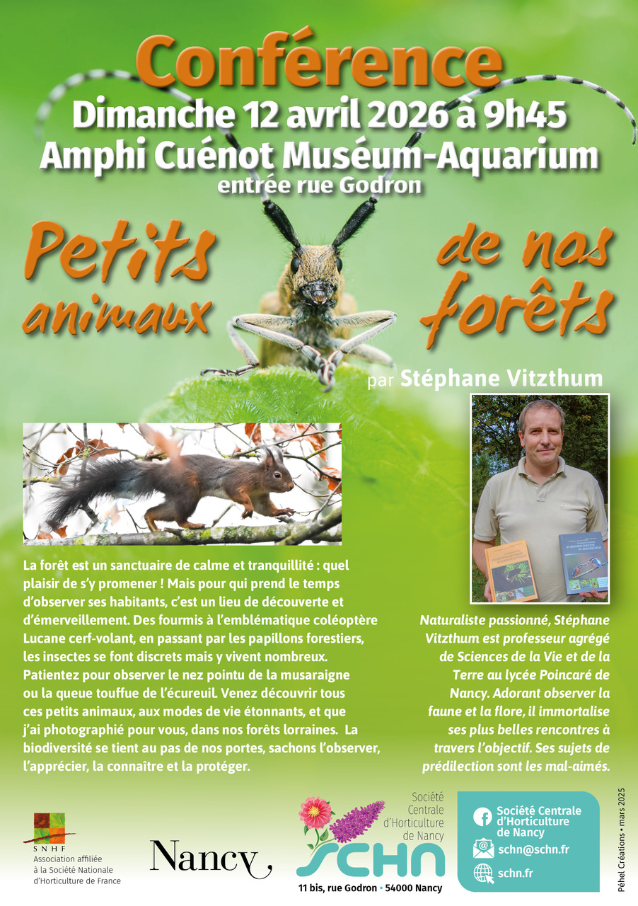 Les petits animaux de nos forêts